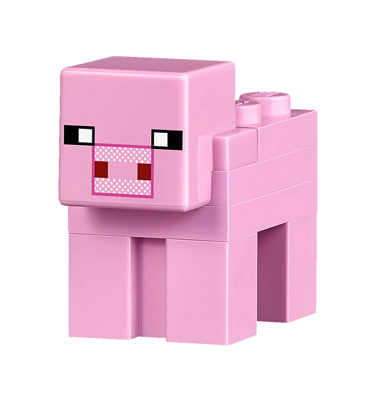 LEGO® Minecraft 21133 La Capanna della Strega - vue 10