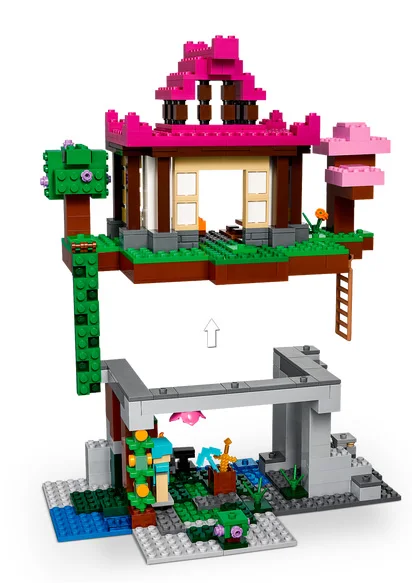 LEGO® Minecraft 21183 I Campi d’Allenamento - vue 5
