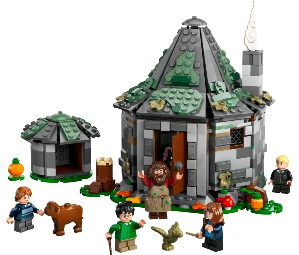 LEGO® Harry Potter 76428 La Capanna di Hagrid: una visita inattesa - vue 3