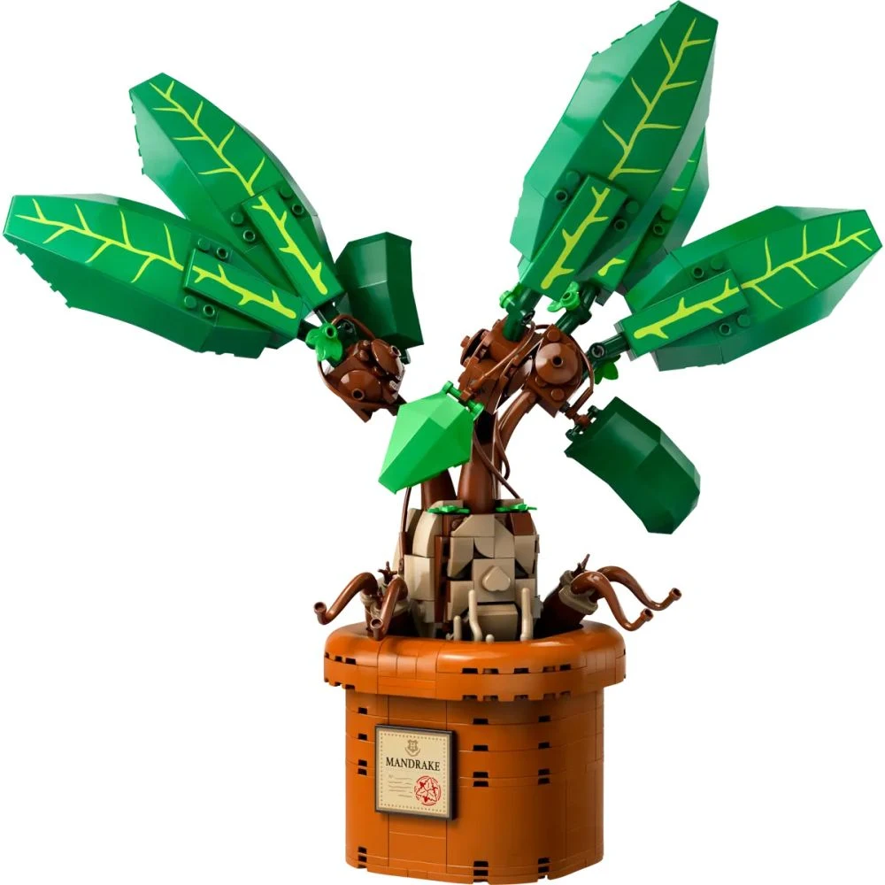 LEGO® Harry Potter 76433 Mandragola - vue 3